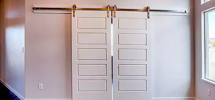 Glass Barn Door with Installation Hardware Kit West Lafayette