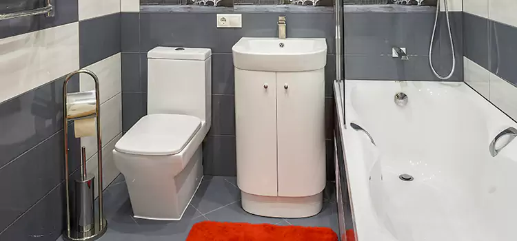 Hansgrohe Shaving Mirror West Lafayette